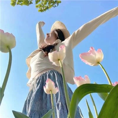 盛开的樱花林下