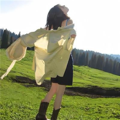 飞机总动员2:火线救援